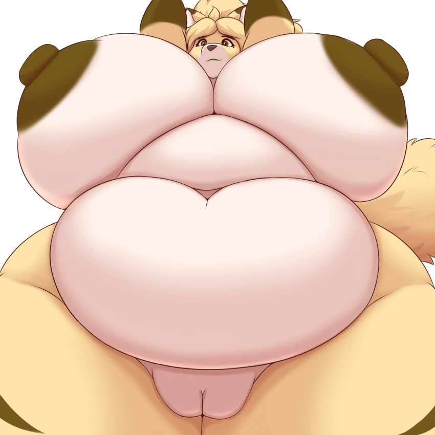 1girl big_ass big_belly big_breasts fat fat_ass fat_belly fat_breasts female furry plump pussy tropicalfox_