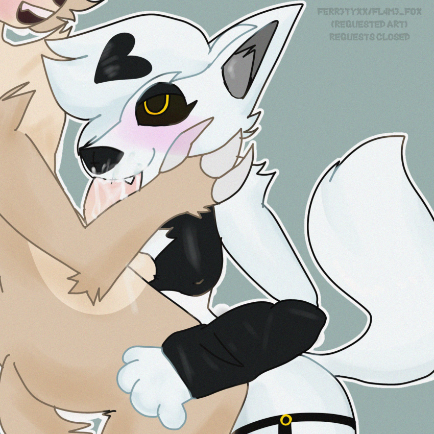 ass furry male/female mika_kit tagme