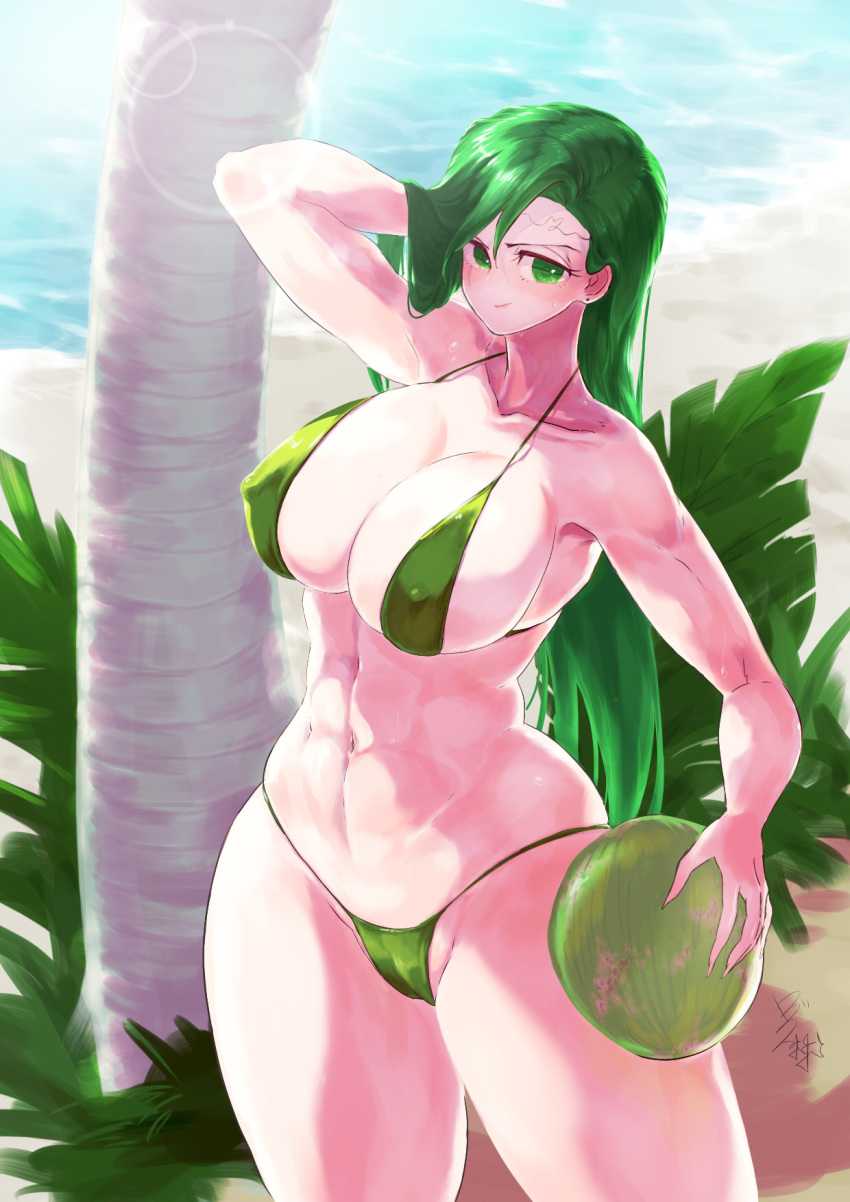 1girl 1girl 1girl abs alluring alternate_costume annand_(fire_emblem) athletic_female bare_shoulders bare_thighs beach bikini coconut collarbone covered_nipples ear_piercing female_abs female_only fire_emblem fire_emblem:_genealogy_of_the_holy_war fit_female green_bikini green_hair green_swimsuit intelligent_systems long_hair nintendo ocean outside palm_tree partially_visible_vulva piercing shoulders sideboob smile swimsuit ta_dasu_(tadasu_hayashi) thick_thighs thighs tree water wet