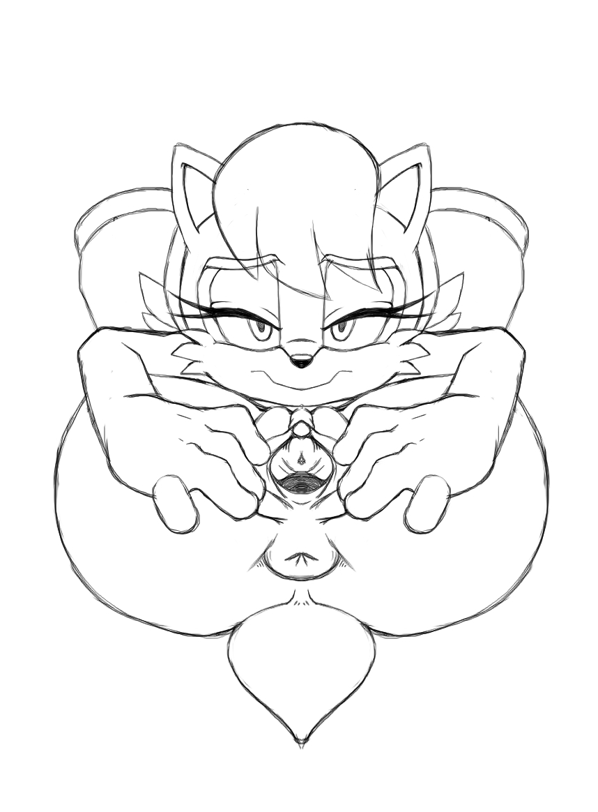 anus furry leatherruffian pussy sally_acorn sketch sonic_the_hedgehog_(archie) sonic_the_hedgehog_(series) spread_pussy