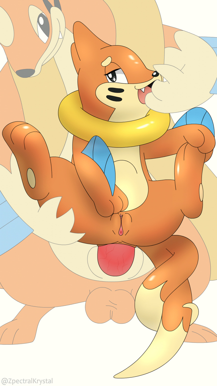 1girl 2025 2d_animation abdominal_bulge anal anal_penetration animal_genitalia animal_penis anus ass balls blush buizel digital_media_(artwork) duo erection feet female_penetrated feral fingers floatzel fur generation_4_pokemon genital_fluids genitals gif high_res loop male male/female male_penetrating male_penetrating_female mammal marine masturbation mustelid nintendo nude open_mouth oral_fingering orange_body orange_fur penetration penis pokemon pokemon_(species) sex simple_background tail teeth tongue vulva weasel