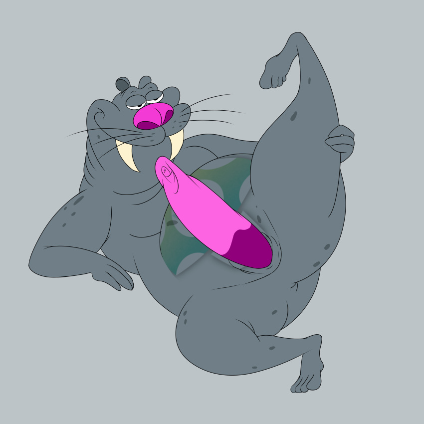 1:1 absurd_res anthro anus ass big_nose bob-jiggles erection fangs fat_folds feet genitals grey_background grey_body half-closed_eyes hi_res les_ratz looking_up lying male male_only mammal marine markings narrowed_eyes on_back overweight overweight_anthro overweight_male penis pink_nose pinniped pose presenting presenting_hindquarters raised_leg ratz_(series) round_ears simple_background slightly_chubby slightly_chubby_anthro slightly_chubby_male smile solo spots spotted_body stretching teeth tusks vinesauce vineshroom vinnie_the_walrus walrus whiskers