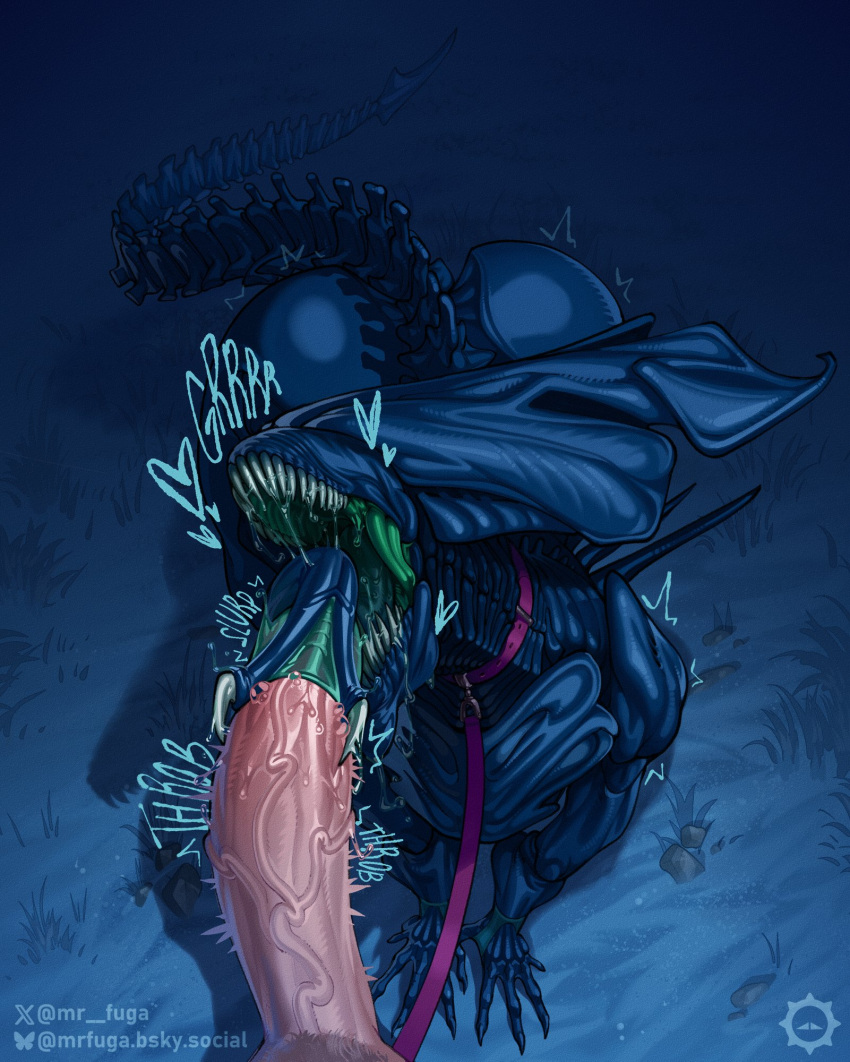 1girl 1girls 2026 2026s 2d 2d_(artwork) 2d_art 2d_artwork 2d_background alien alien_(franchise) all_fours anthro art artist_logo artist_name ass big_ass black_body blue_text bluesky bluesky_logo bluesky_username butterfly dead_by_daylight detailed_background digital_art digital_artwork_(media) digital_media digital_media_(artwork) duo exoskeleton fellatio female_xenomorph feral heart_symbol high_res highres human inner_mouth jpeg leash logo male male/female male_on_anthro mammal mr_fuga mrfuga nsfw oral penile penis r34 rule34 rule_34 sex sharp_teeth signature tagme teeth text username watermark x x_link x_logo xenomorph xenomorph_queen xenomorph_tail xenophilia